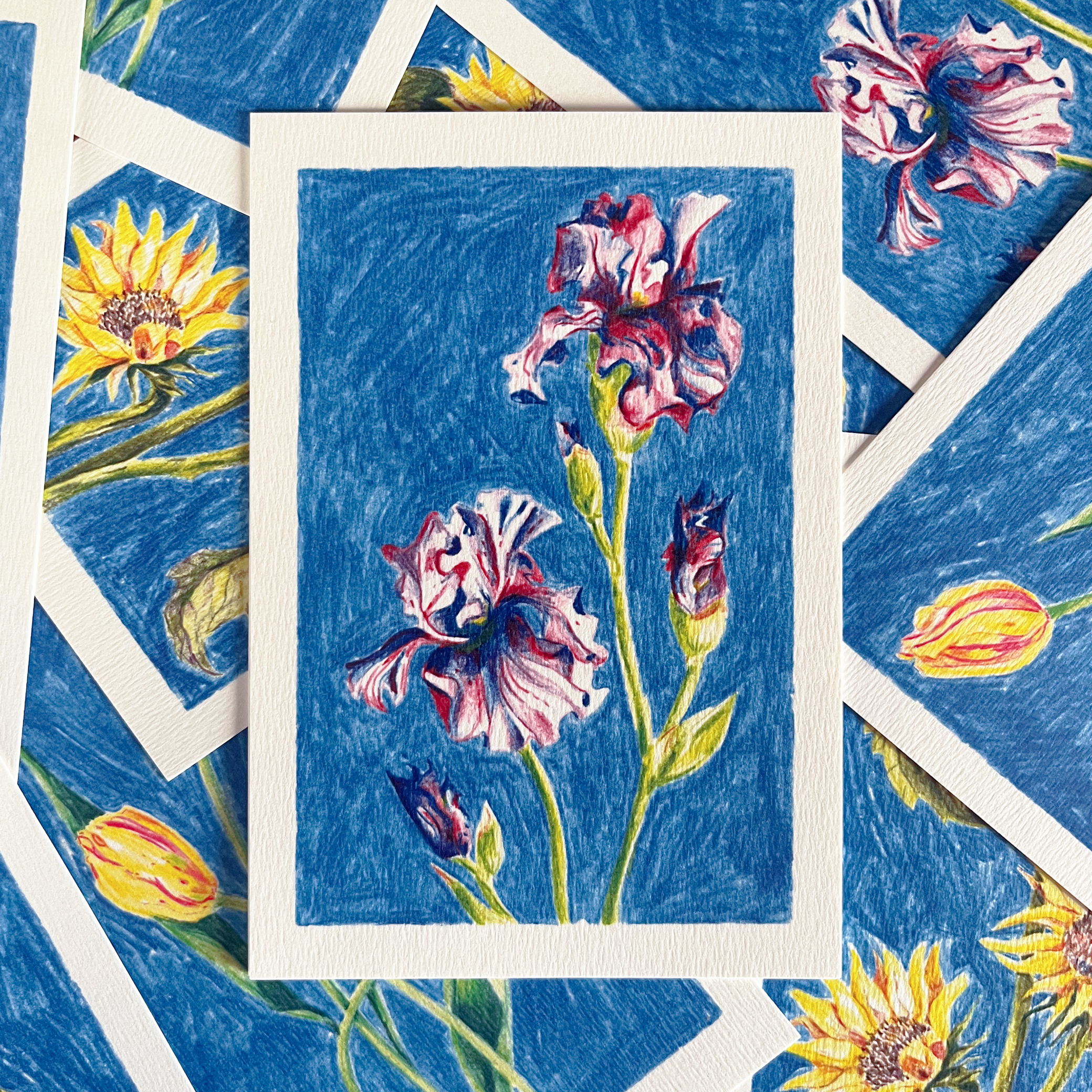 Carte postale fleurie illustrée d'iris par Yollema posée sur une pile de cartes