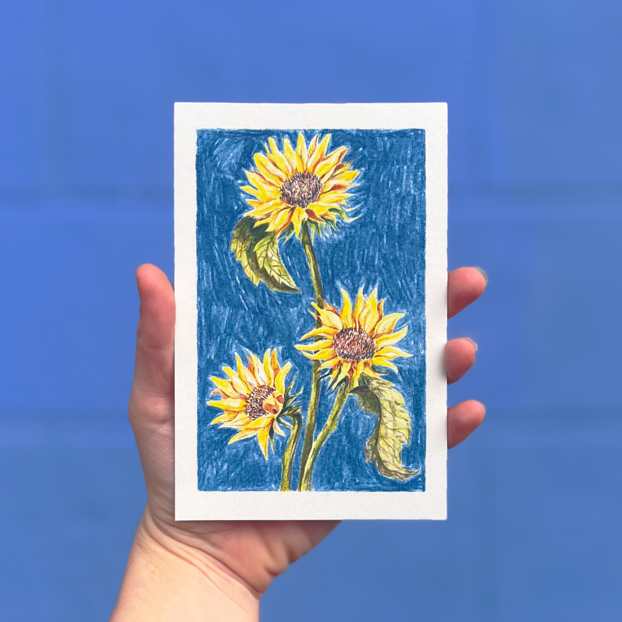 Carte postale illustrée de tournesols au crayon de couleur par Yollema, tenue par une main sur fond bleu