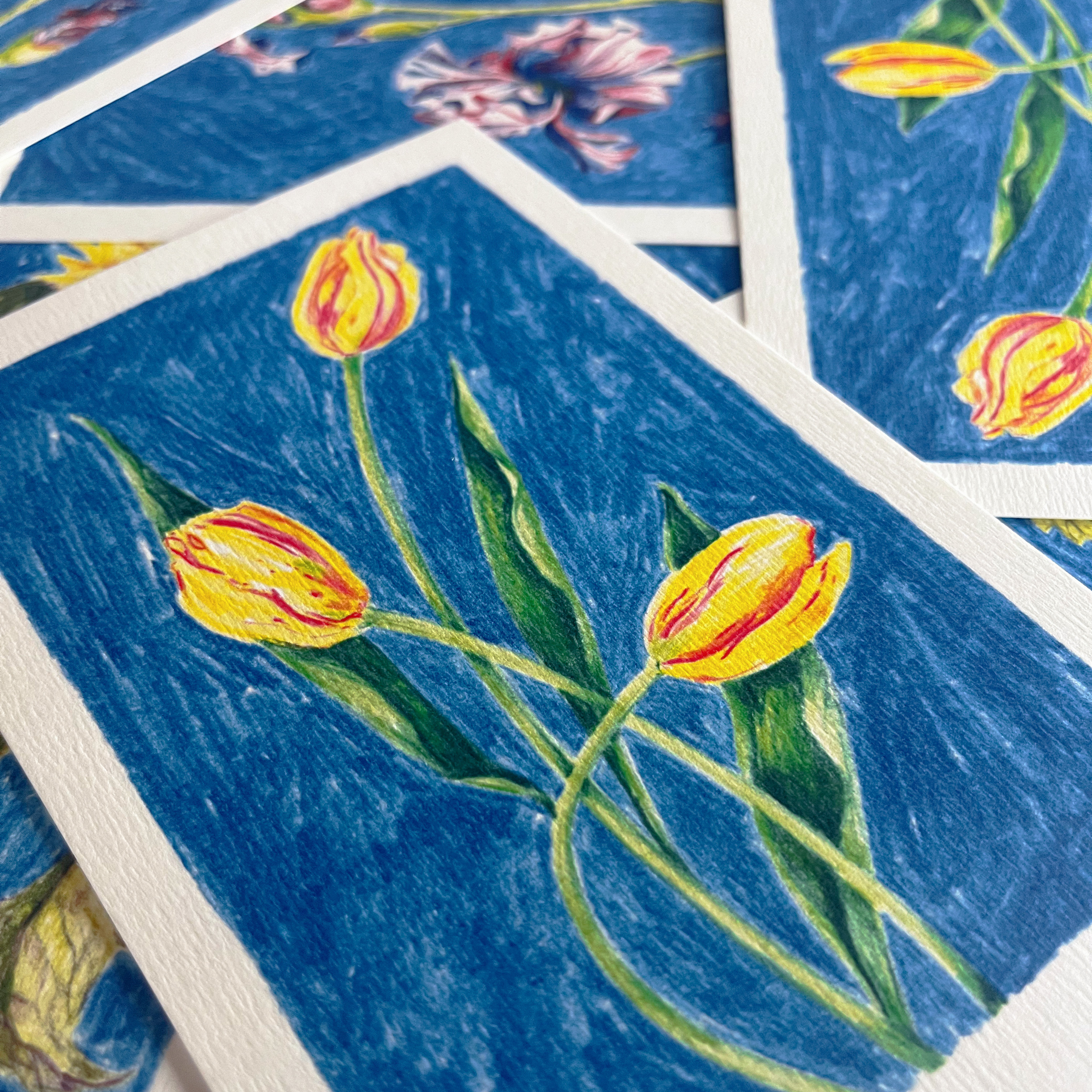 Zoom sur une carte postale illustrée de tulipes par Yollema posée sur une pile de cartes