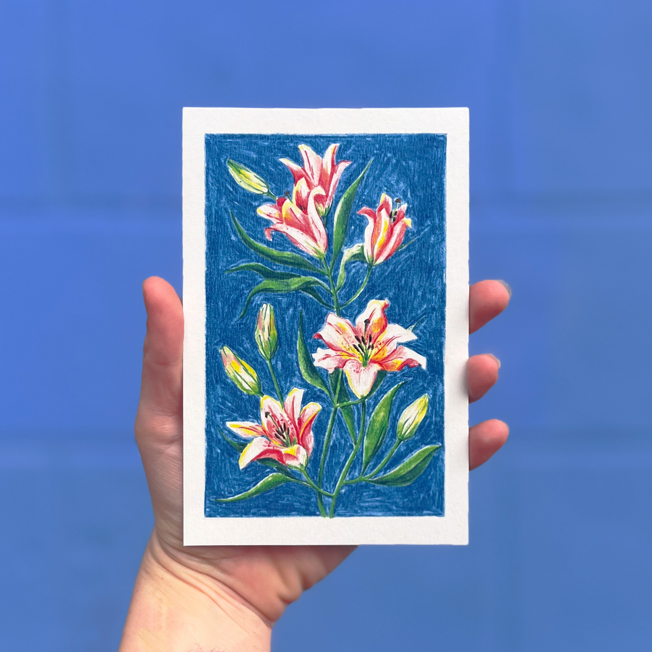 Carte postale illustrée de lys au crayon de couleur par Yollema, tenue par une main sur fond bleu