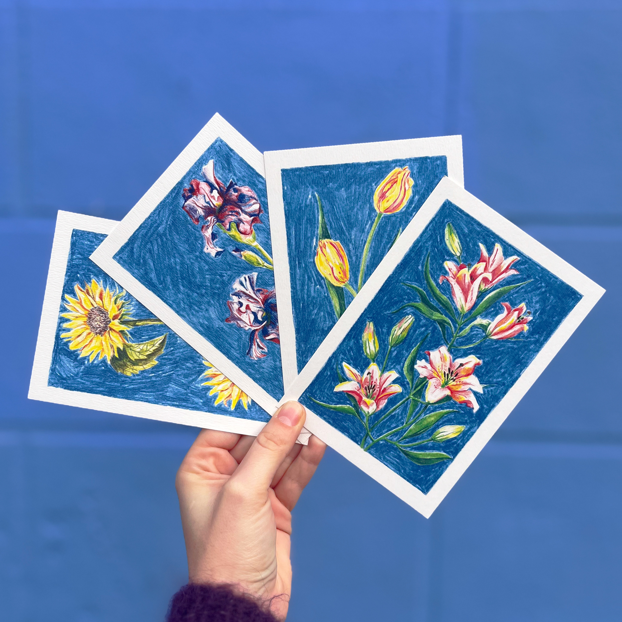 Éventail de quatre cartes postales illustrée de fleurs au crayon de couleur par Yollema, tenues par une main sur fond bleu
