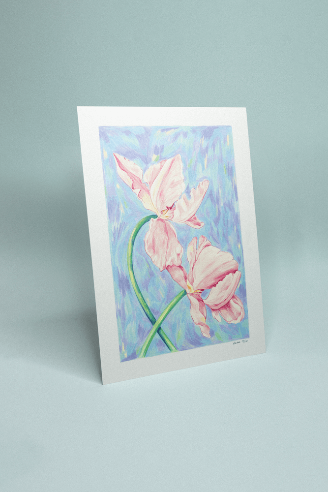 Illustration florale sur fond bleu clair, grandes iris roses stylisées en crayon de couleur.