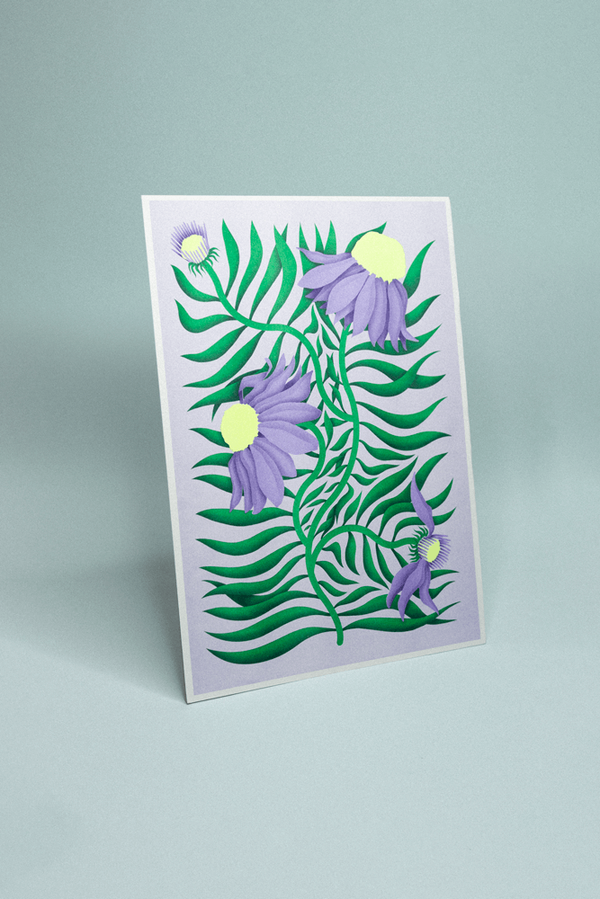 Illustration d'échinacées sur fond violet, feuillages verts avec touches violettes en risographie.