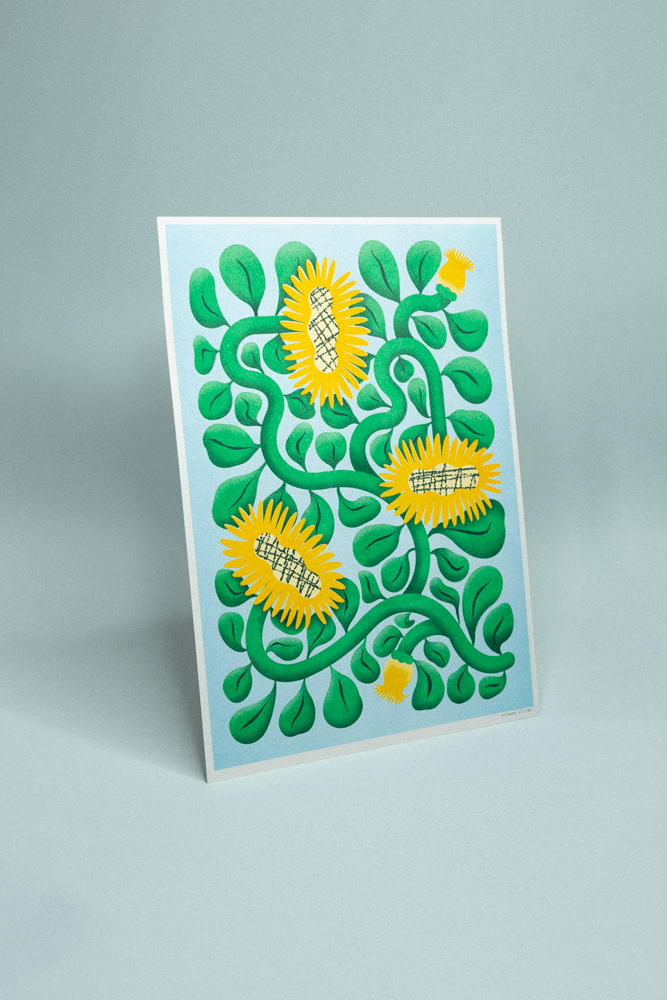 Illustration botanique sur fond bleu clair, tournesols jaunes avec feuillage dense en vert foncé, en risographie.