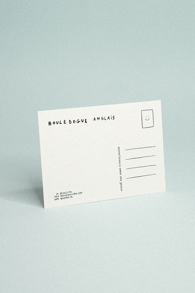 Verso d'une carte postale bouledogue anglais avec les lignes pour l'adresse et l'emplacement du timbre, sur fond bleu gris.