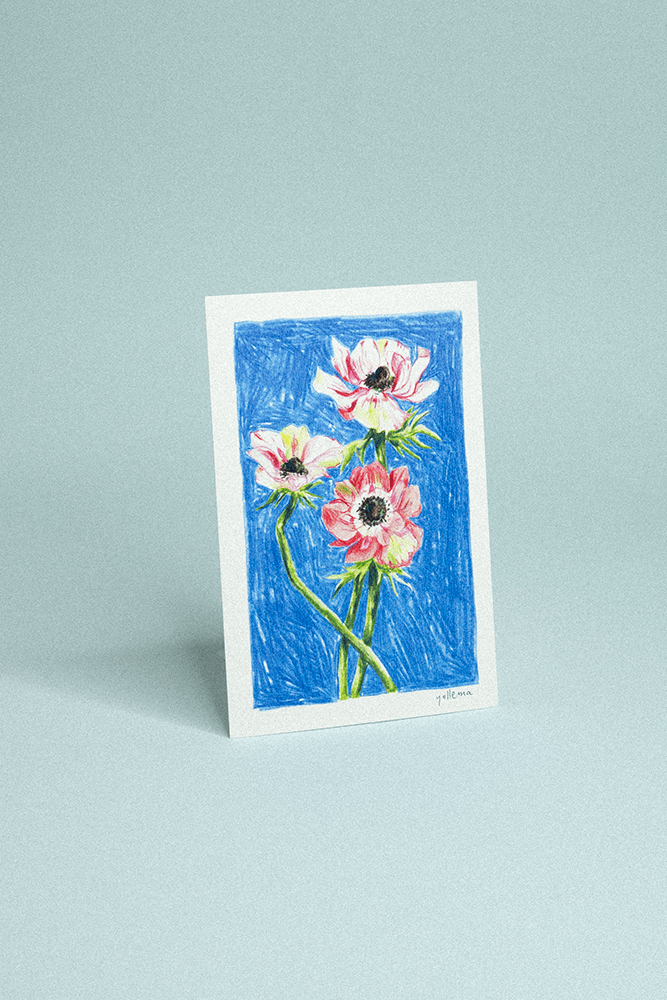 Carte postale illustrée de trois anémones roses dessinées au crayon de couleur sur fond bleu texturé.