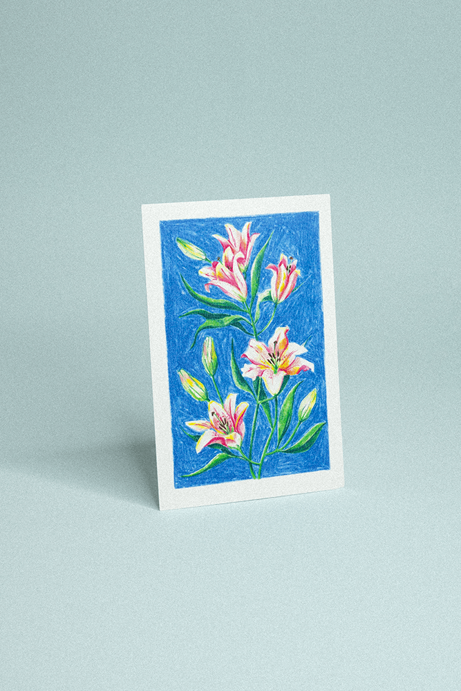 Carte postale illustrée de lys roses dessinées au crayon de couleur sur fond bleu texturé.