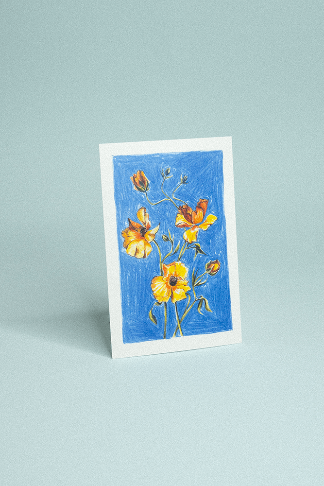 Carte postale illustrée de plusieurs renoncules orangées dessinées au crayon de couleur sur fond bleu texturé.