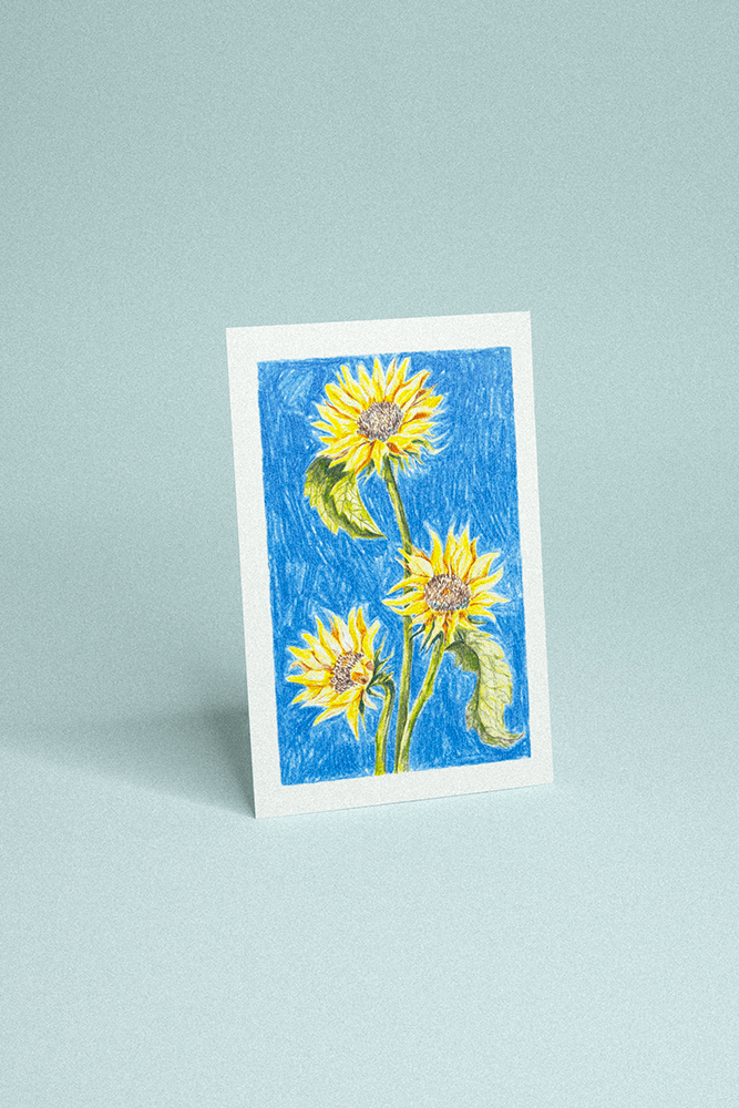 Carte postale illustrée de trois tournesols jaunes dessinés au crayon de couleur sur fond bleu texturé.