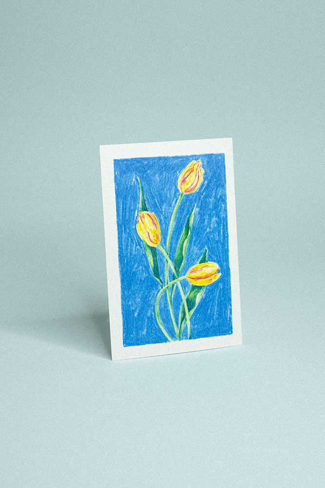 Carte postale illustrée de trois tulipes jaunes dessinées au crayon de couleur sur fond bleu texturé.