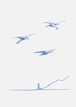 Illustration au crayon bleu cobalt, trois goélands au dessus de la mer. 