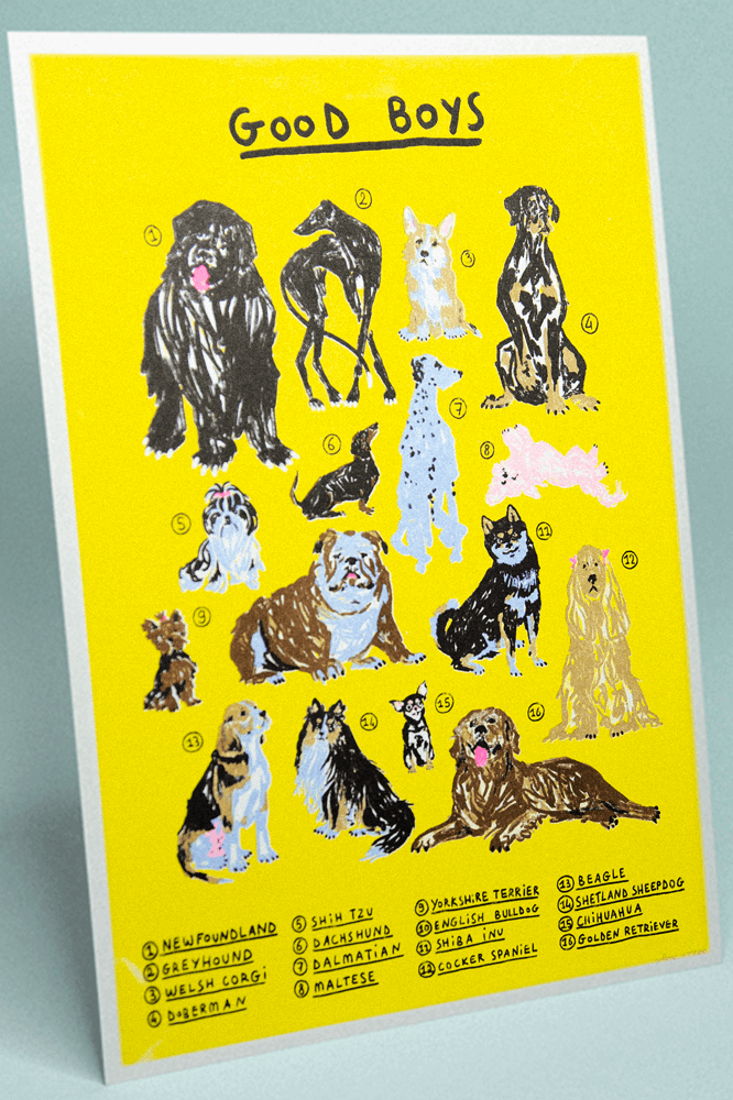 A3 GoodBoy Hover Tinyy