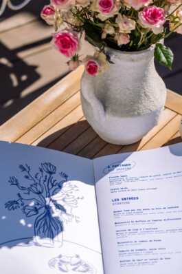 Yollema goeland tiny