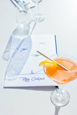 Yollema goeland tiny