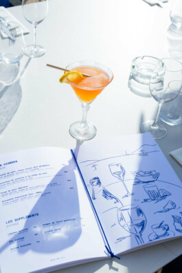 Yollema goeland tiny